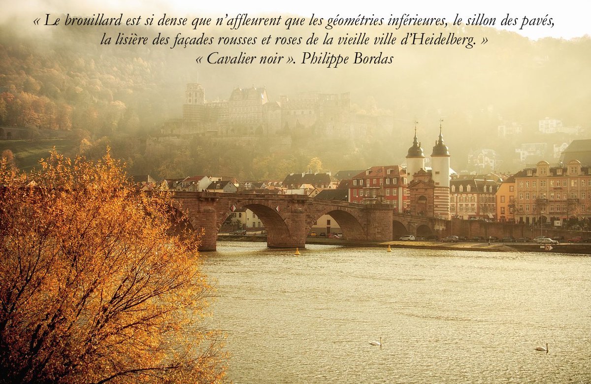 "Cavalier Noir" de Philippe Bordas. Editions Gallimard Sortie le 4 février.