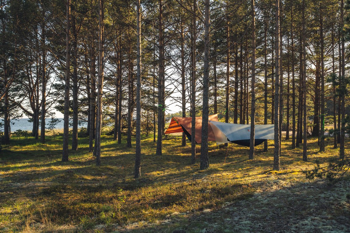 Who's your favorite buddy to hang with!? 🌲❤🌲

#hammockgear #hammockcamping #camping #backpacking #getoutside #ultralightgear #outdoorgear #madeinamerica #madeinohio