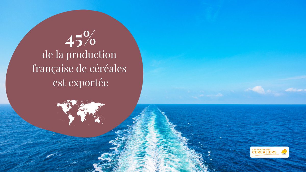 Les #céréales françaises nourrissent la #France et le monde. La France exporte la moitié de sa production de céréales tous les ans, entre 30 et 35 millions de tonnes. 🌍