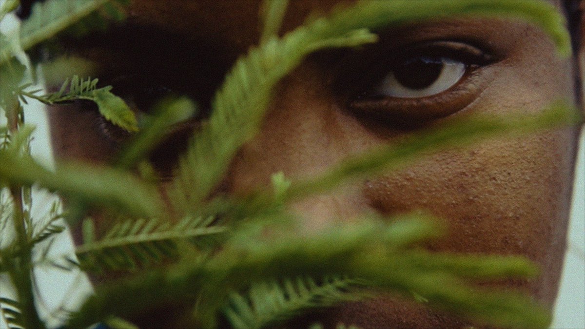 A LOVE SONG FOR LATASHADirected by Sophia Nahli Allison, this experimental documentary short beautifully pays tribute to the life of Latasha Harlins, whose death at 15 years old sparked the LA riots.