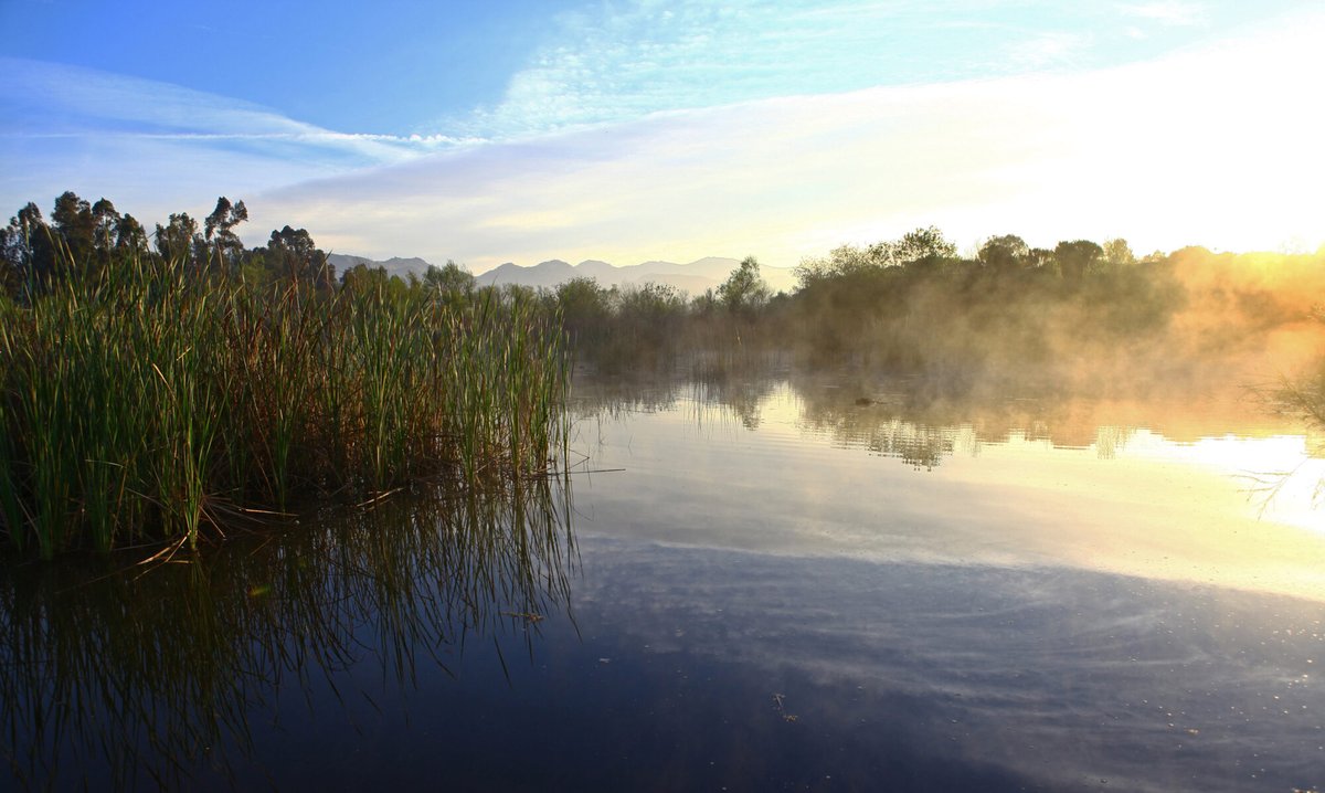 CA_Waterkeepers's tweet photo. Today - on #WorldWetlandsDay - #CAWaterkeepers & @AsmRobertRivas are introducing the California Clean Water Act (#AB337) to make all California waters drinkable, swimmable, and fishable by 2050. Tune in TODAY at 10am: https://t.co/moV5iac7Xt. #cawater https://t.co/sGPPet2TNJ