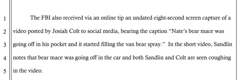 The FBI says there's a video of three Capitol riot suspects coughing in a car (on their way to DC?) when one of their canisters of bear mace went off in their pocket.The video was taken by Capitol pot-smoker ("Thank you patriot") Ronnie Sandlin.  https://twitter.com/alanfeuer/status/1355214037232087042