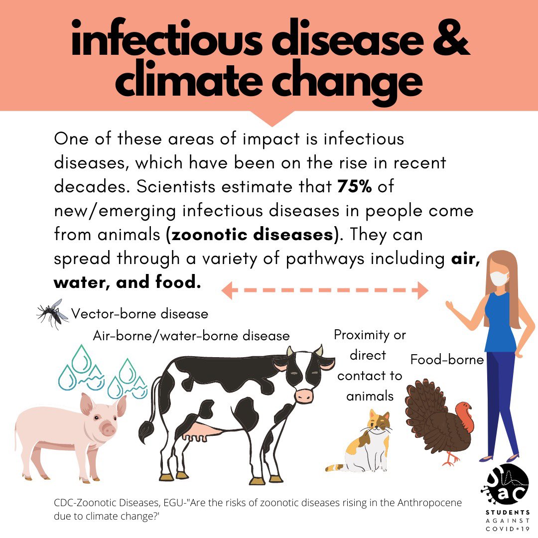 StudentsCOVID19's tweet photo. For more info about zoonotic diseases, 
please also see our previous post: https://t.co/0kB4HKYeiQ https://t.co/BJMZx2ctPD