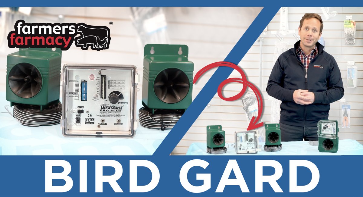 farmersdepotca's tweet image. Pest birds on your farm can cause havoc, damage equipment, eat your feed, and pose a biosecurity risk. Check out our most recent #FeatureProductFriday where we talk about how you can keep the birds away with Bird Gard! Check out the video to learn more⬇️: youtu.be/WgLiji6uvSc