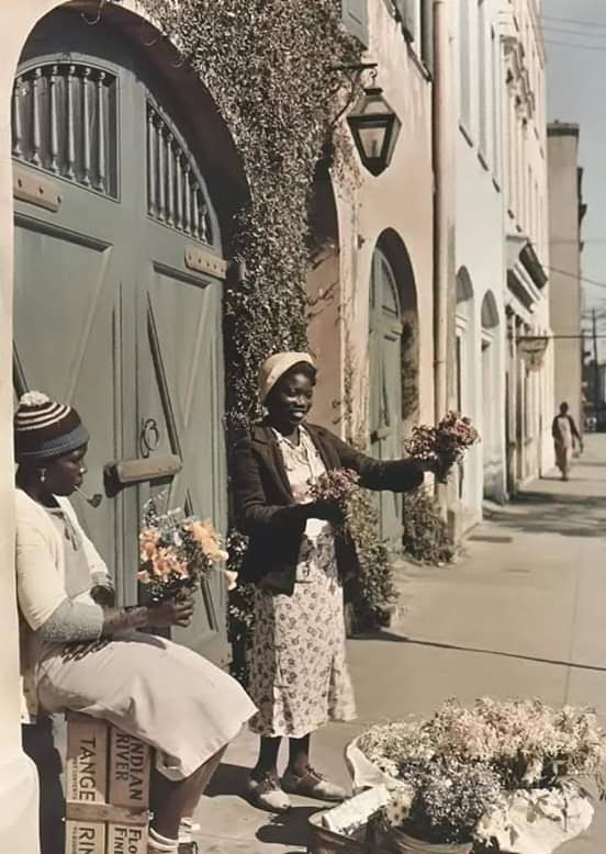 CDUB_608's tweet photo. #CharlestonSC #DaChuck 🌺🌻🌼 https://t.co/XLWtM53Dke
