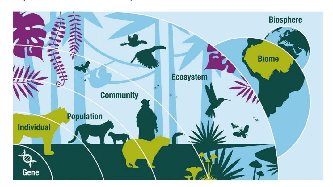 policymakr's tweet photo. The #Dasgupta Review: a stellar, must-read plea by HM Government 🇬🇧 for a reset to our relationship with the #environment. 🌎🌳👐

https://t.co/KCQlvcEJRW https://t.co/cxlPILipDc