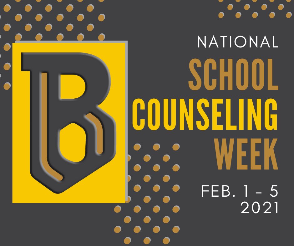 It's National School Counseling Week! Please join us in recognizing Ms. Allison Craig (GES) and Mrs. Heather McDougall (BMHS) for their constant support and advocacy of our students. Thank you for taking care of our Tigers! #NSCW2021 #LoveTheVue