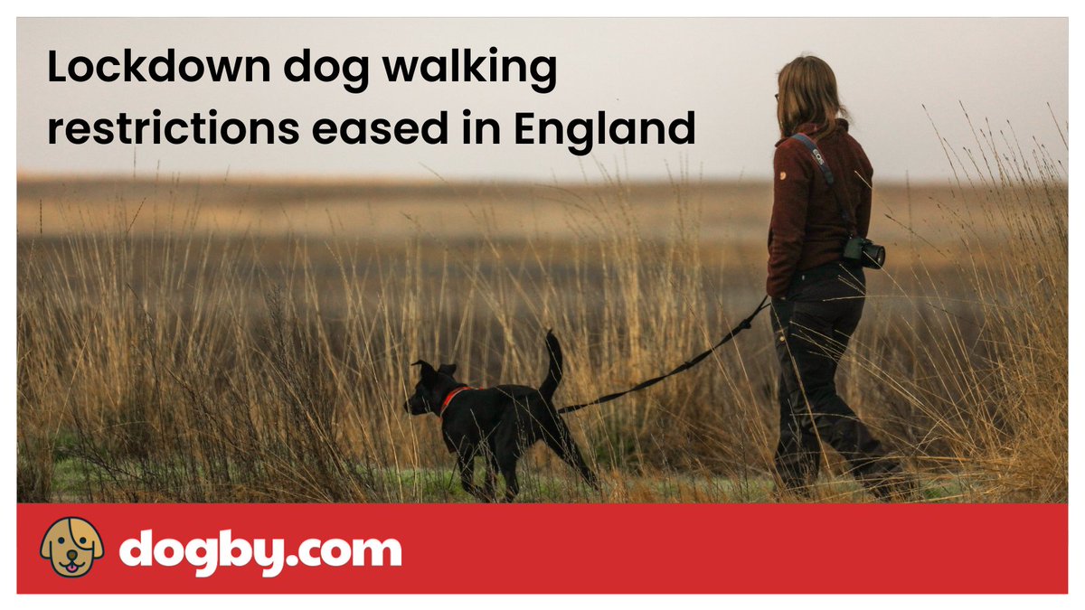 DogbyDogs's tweet photo. With government guidelines continually changing, it can be difficult to know what the rules are regarding walking your dog during lockdown.

We've broken it down for you here: https://t.co/mwIFErj6Fo https://t.co/pgebZ9cQ7S