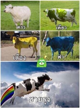 n0vembris18's tweet image. มีคนโควตอันนี้ยัง ตอนเห็นครั้งแรกคือขำหนักมาก 555555555555555555555