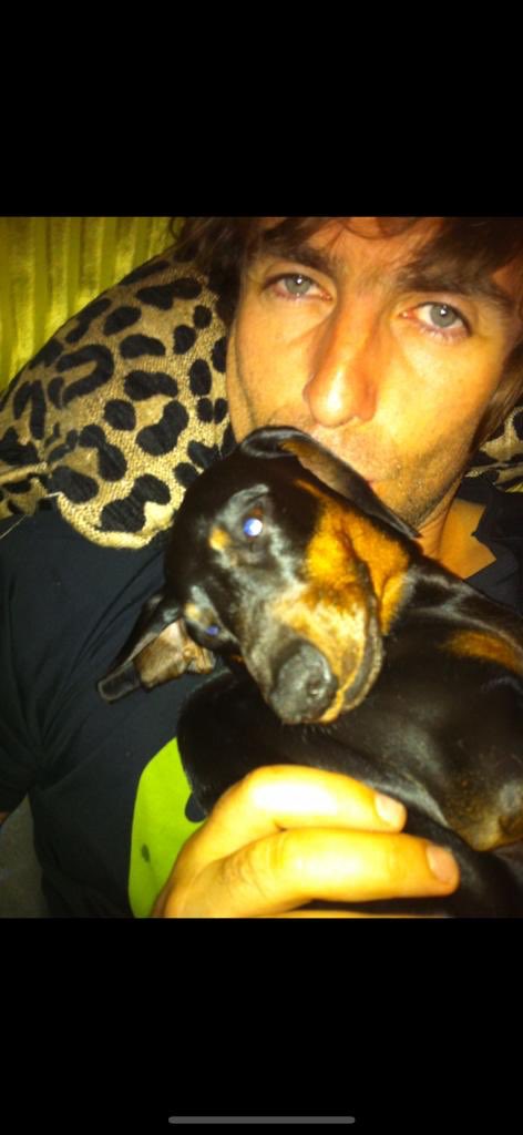 Liam Gallagher tweet media