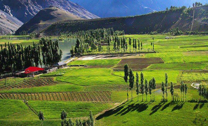 #OurBeautifulPakistan
  We have Phandar Valley 
@MCDTeamOfficial 
@Pak_Guardian 
@shahmerbaloch
@LaiBa__2 
@MeTalatK 
@Gumnam_T313 
@malikwa99943575
@Asifali65934460
@Awanzad20342313 
@abrarsandhu18
@AnwarKhanMayo4 
@KamranS42152294