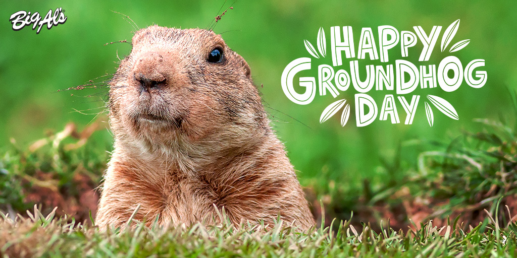 BigAlsAquarium's tweet photo. Happy Groundhog Day! Are you #TeamShadow or #TeamNoShadow? #GroundhogDay  #Winter #Shadow #Spring #BigAls #BringUsHome #KeepOnTankin https://t.co/3yEWGZOABY