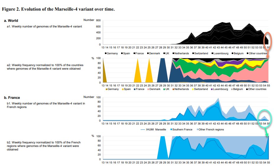 moins de 200 par semaine au niveau mondial (cercle orange). ~20-25 cas en France ces dernières semaines. Si on considère qu’il peut y avoir des biais en fonction de la sélection des échantillons, mais les données étant mondiales cela implique plutôt une disparition prochaine.