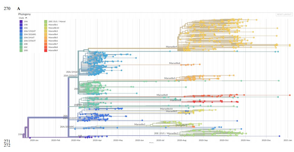 Ils nous montrent un zoom du clade 10A.EU2 avec leurs variants Marseille 1, 2, 3, ....Ils utilisent donc les outils développés par le GISAID, mais alors pourquoi ne pas utiliser la nomenclature internationale?? Marseille ca faut plus sexy? local? people?