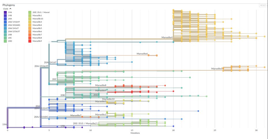 Ils nous montrent un zoom du clade 10A.EU2 avec leurs variants Marseille 1, 2, 3, ....Ils utilisent donc les outils développés par le GISAID, mais alors pourquoi ne pas utiliser la nomenclature internationale?? Marseille ca faut plus sexy? local? people?