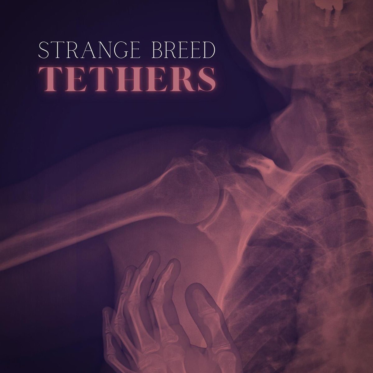 We’re back.
We took a bit of a break from Twitter bc why not. But we’re back, and with a vengeance. 
Our single “Tethers,” comes out Feb 12. Get your ears ready!!
#NewTrack #Single #NewSong
