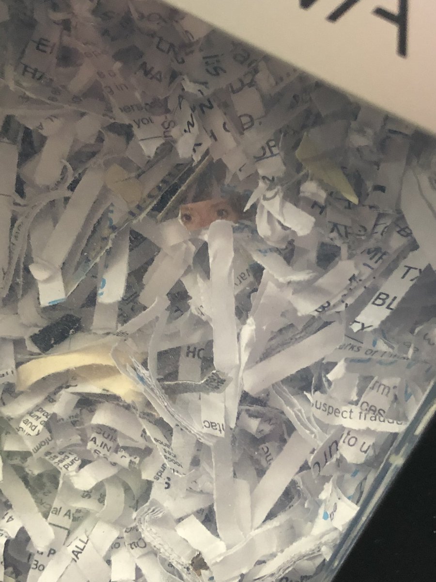 AmyTheFoote's tweet photo. That moment when you’re rolling out your legs and it’s super intense and you look over at your paper shredder and your own eyes are watching you. https://t.co/O2IrCO6PpU