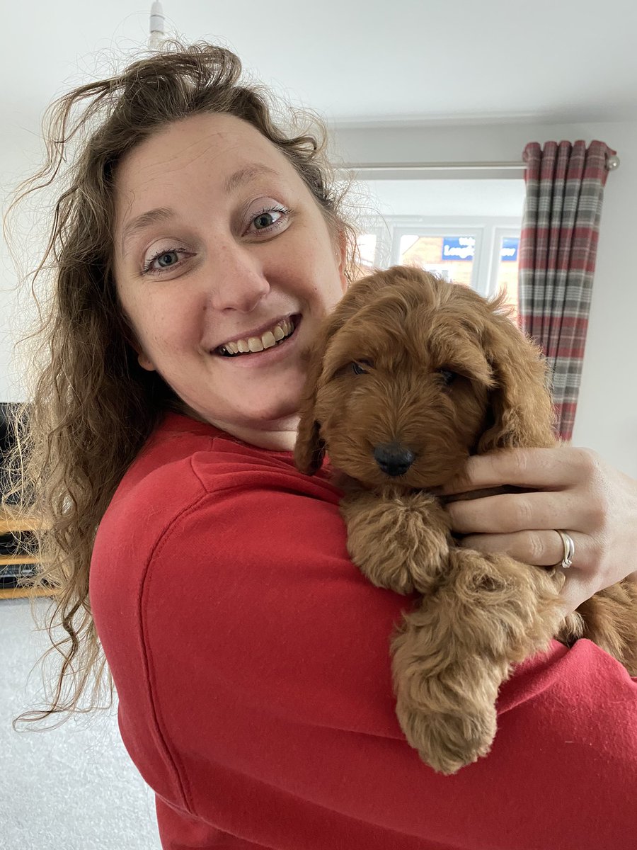 Have finally taken the plunge and added to our family with this fluff ball! Welcome home Barney our #pandemicpuppy 🥰🥰