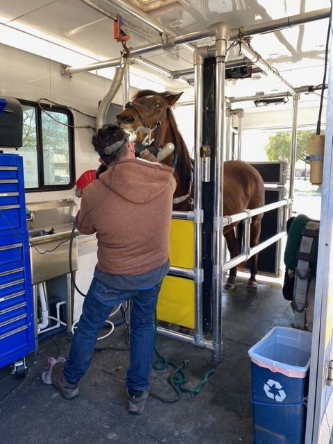 HCSOSheriff's tweet image. SAY CHEESE 😁  Not only did #teamHCSO&apos;s Mounted Unit get their teeth cleaned today, they also got their annual checkups! Taking care of our horse partners is an important part of the Mounted Enforcement duties. 🐴 

#HCSOmounted #DeputyHorse