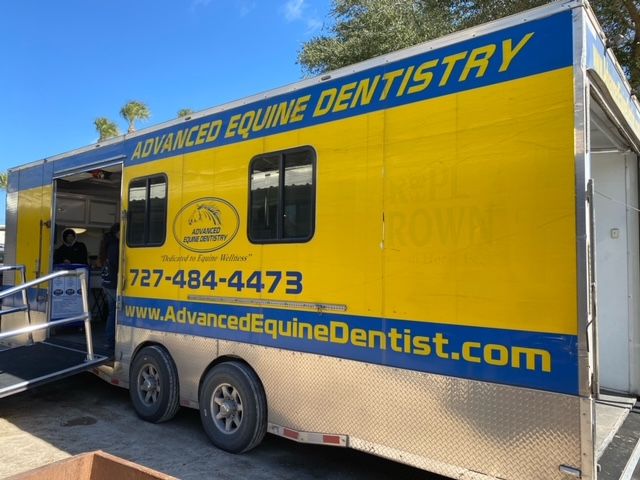 HCSOSheriff's tweet image. SAY CHEESE 😁  Not only did #teamHCSO&apos;s Mounted Unit get their teeth cleaned today, they also got their annual checkups! Taking care of our horse partners is an important part of the Mounted Enforcement duties. 🐴 

#HCSOmounted #DeputyHorse