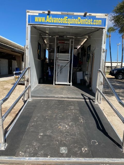 HCSOSheriff's tweet image. SAY CHEESE 😁  Not only did #teamHCSO&apos;s Mounted Unit get their teeth cleaned today, they also got their annual checkups! Taking care of our horse partners is an important part of the Mounted Enforcement duties. 🐴 

#HCSOmounted #DeputyHorse