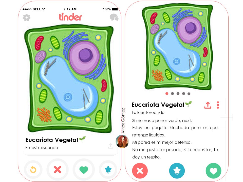 LOS DIFERENTES TIPOS DE CÉLULA, EN TINDER🔥

La profe de mis alumnos está zumbada, pobrecitos míos