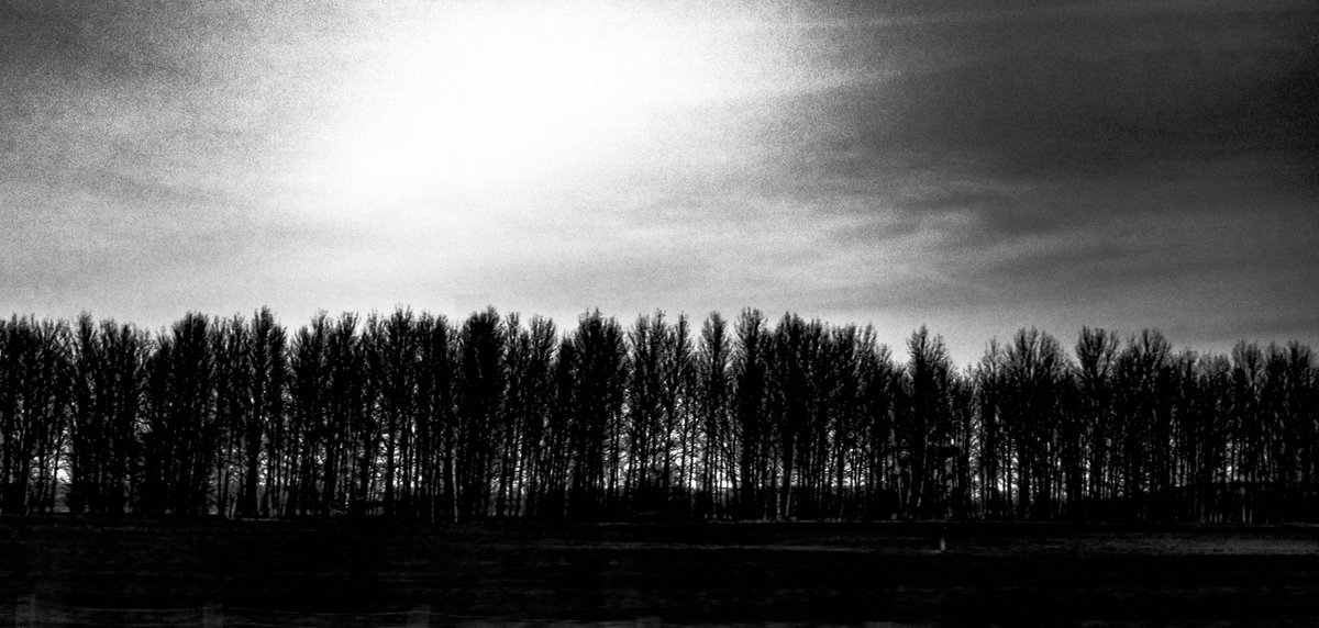 Clara Cosmos (@cosmos_clara) on Twitter photo 