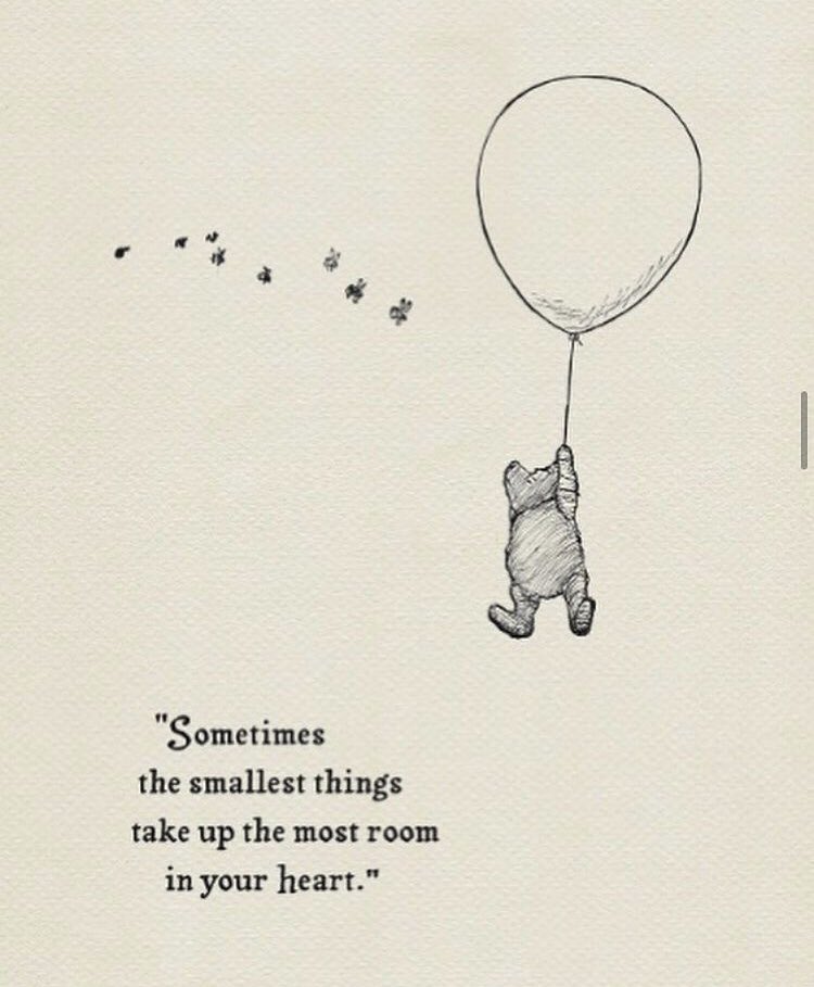 AchingArms's tweet image. “Sometimes the smallest things take up the most room in your heart”