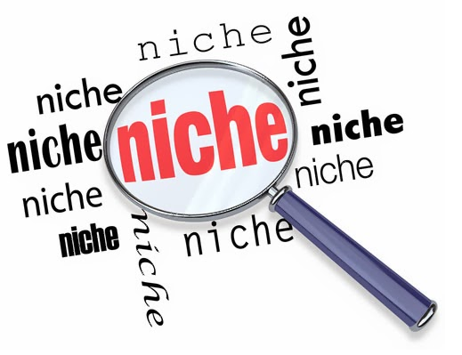 WANT TO KNOW HOW TO FIND A NICHE FOR YOUR AGENCY?Here's how[THREAD}