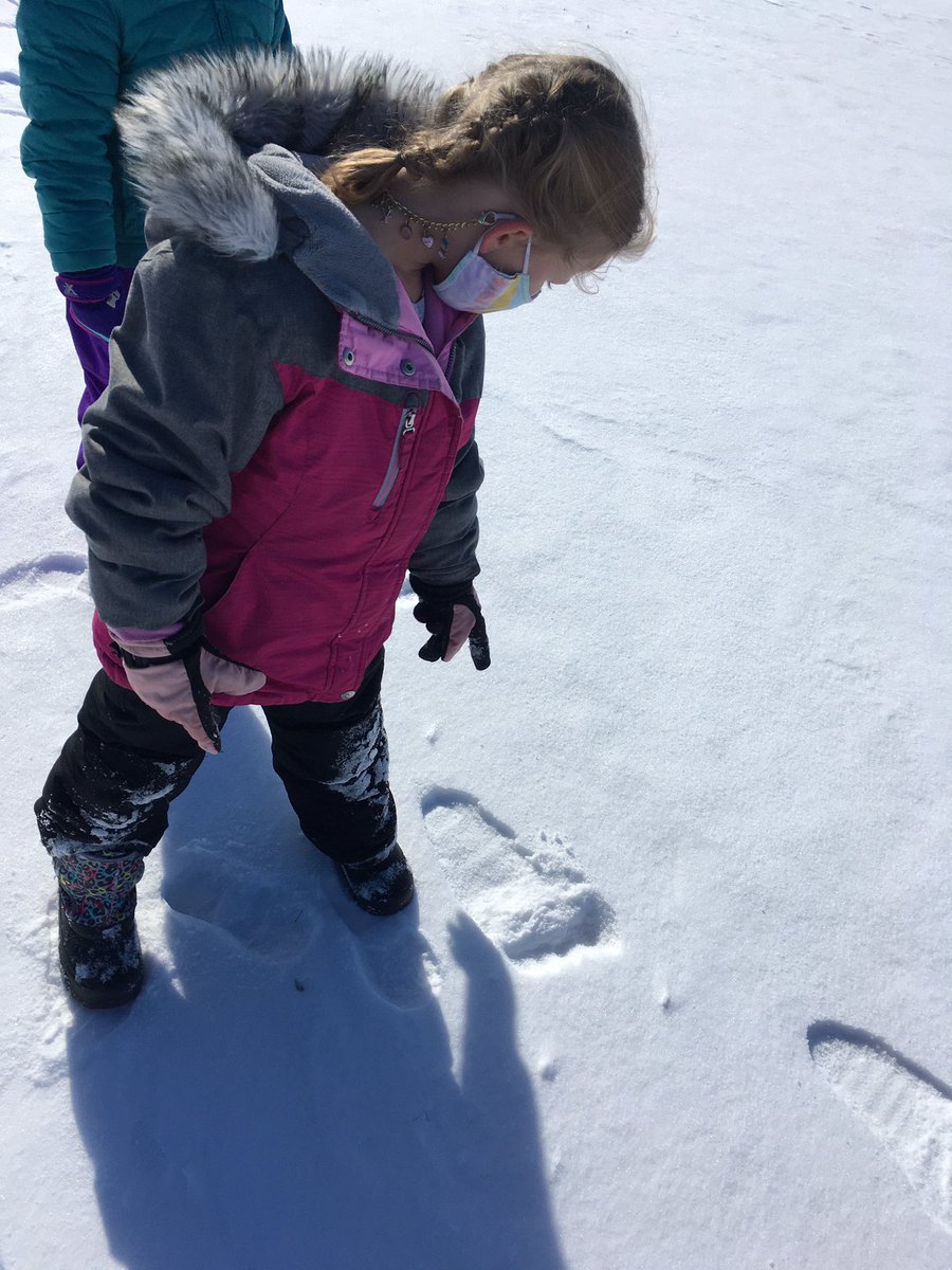 Matulisj's tweet photo. #PhysEd have you seen anything like this @GlengaryPE @LetstacoboutPE @PEScottWilliams #peoutside #bigfoot https://t.co/W5ZVJoKon1
