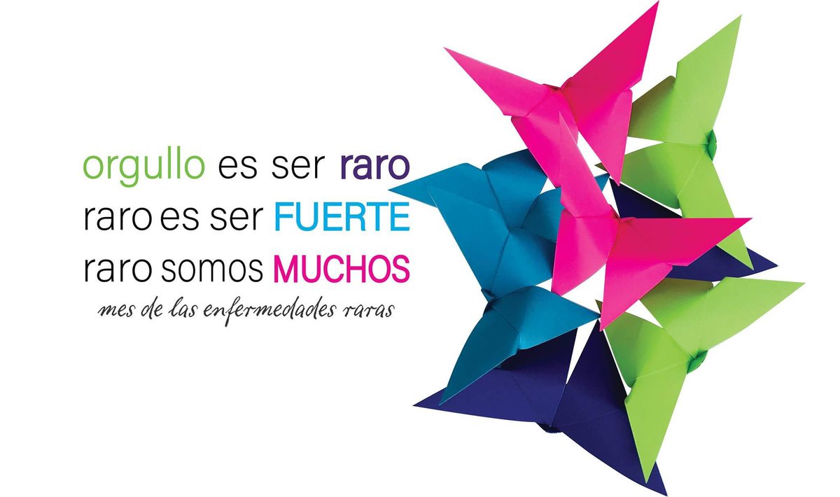 Debra México tweet media