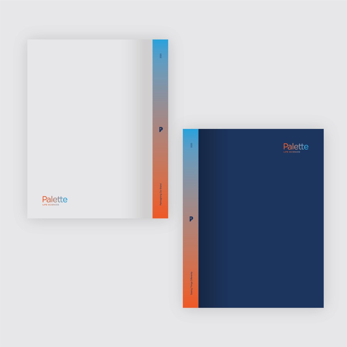 Palette Life Sciences is a company that sees things differently. To bring the refreshed brand to life, we created a brand book to tell the story in an innovative way.