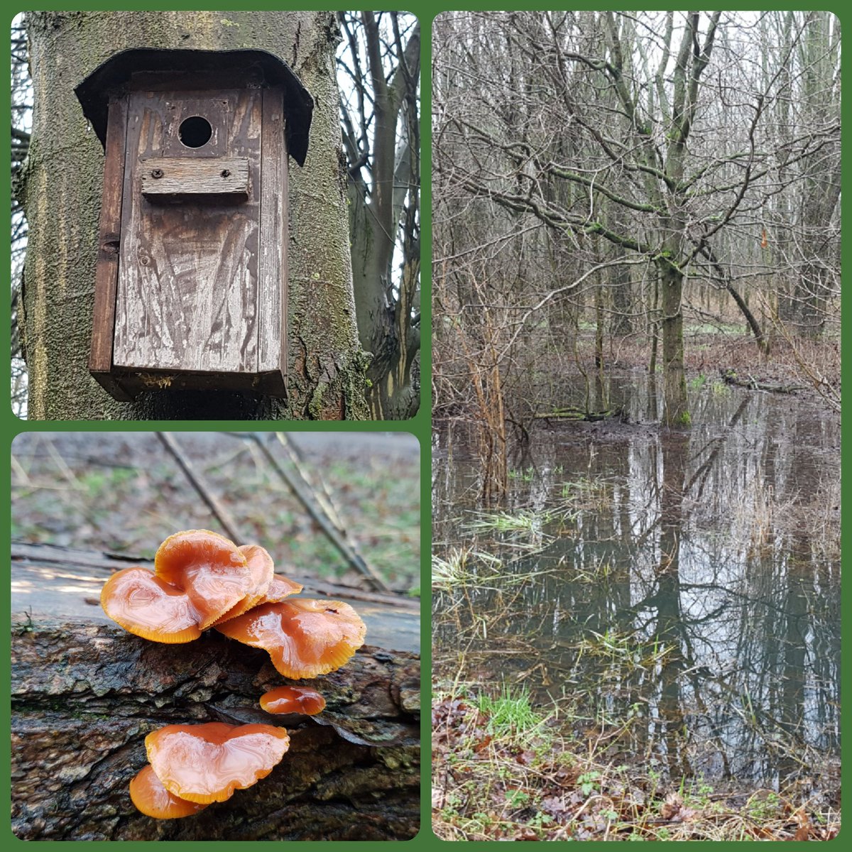 Persconferentie? Blijf gezond en houd de moed er in. Download de #gratis Ommetje app en wandel mee met team @DelftvoorElkaar. Code 6CH9T
Het geeft positieve energie. Zelfs als t regent