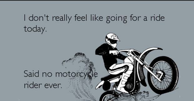 MOTORCYCLEMALL's tweet photo. 😂 😂 https://t.co/mQrAksCNQ3