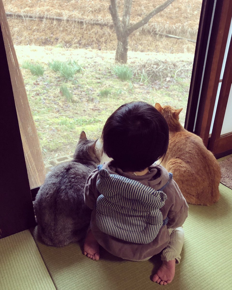 久保田夏菜 見える景色は どこまでも山 春が待ち遠しい 赤ちゃんと猫のいる生活 猫と赤ちゃん 茶トラ サバトラ 11ヶ月 男の子 田舎暮らし 安芸高田市 育児奮闘中 春