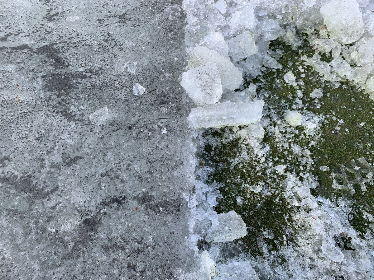 It’s an aerate greens in February type of day