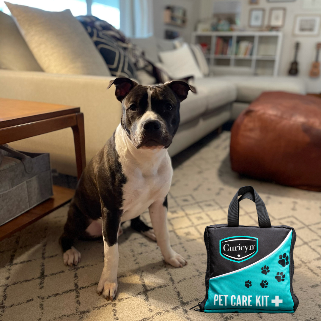 curicyn pet care kit
