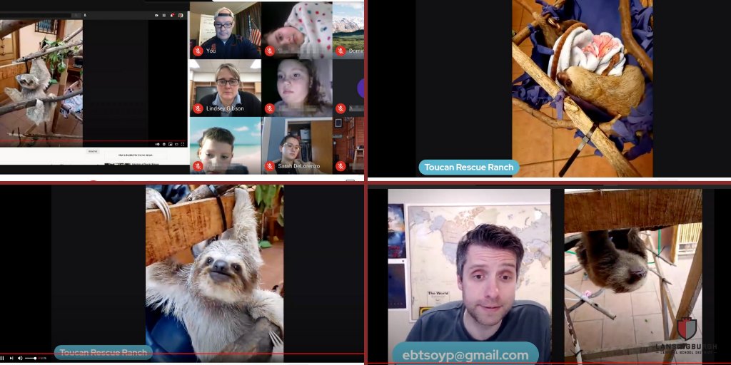 LCSD_NY's tweet photo. Students in Mr. Hamilton's, Ms. Desso's, Ms. DeLorenzo's, &amp; Mr. Schwartz's 3rd-graders recently took a virtual trip to @ToucanRescue in Costa Rica &amp; met the local sloths! Thanks to @ms_lgibson for helping 3rd Grade get to Costa Rica &amp; thanks to @ToucanRescue for the welcome! https://t.co/fOnkz9JUxo