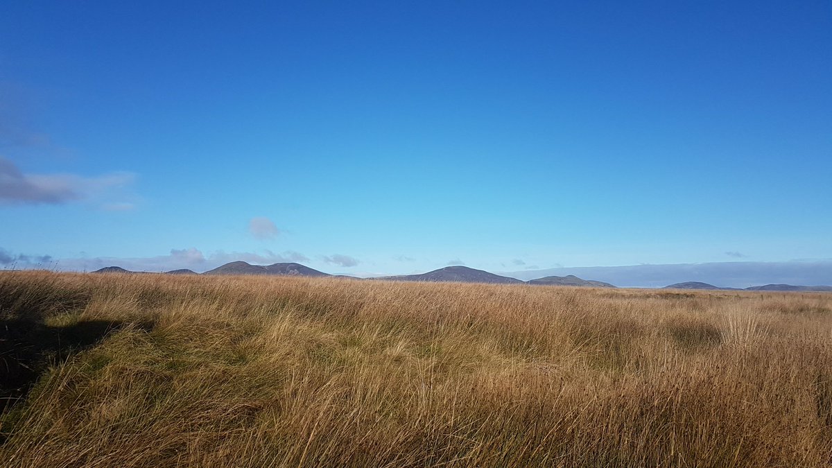 #WorldWetlandsDay2021 I had the pleasure to work in so many diverse wetlands over the past few years and I wish everyone experience their beauty and understands their environmental importance #peatlands #WetlandsandWater