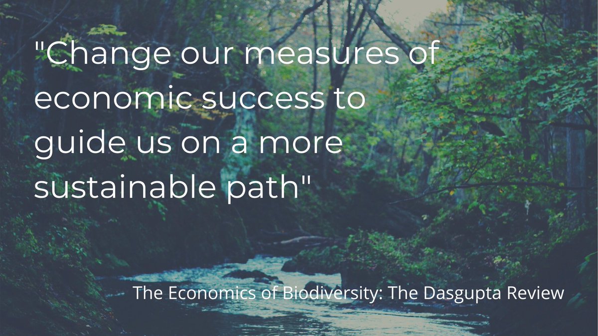 An influential report (commissioned by the UK government) calls for a change in how we measure economic success.  

Should GDP include a measure for the depletion of natural resources?  

Read more here  👇👇gov.uk/government/pub…

#DasguptaReview #EconomicsOfBiodiversity
