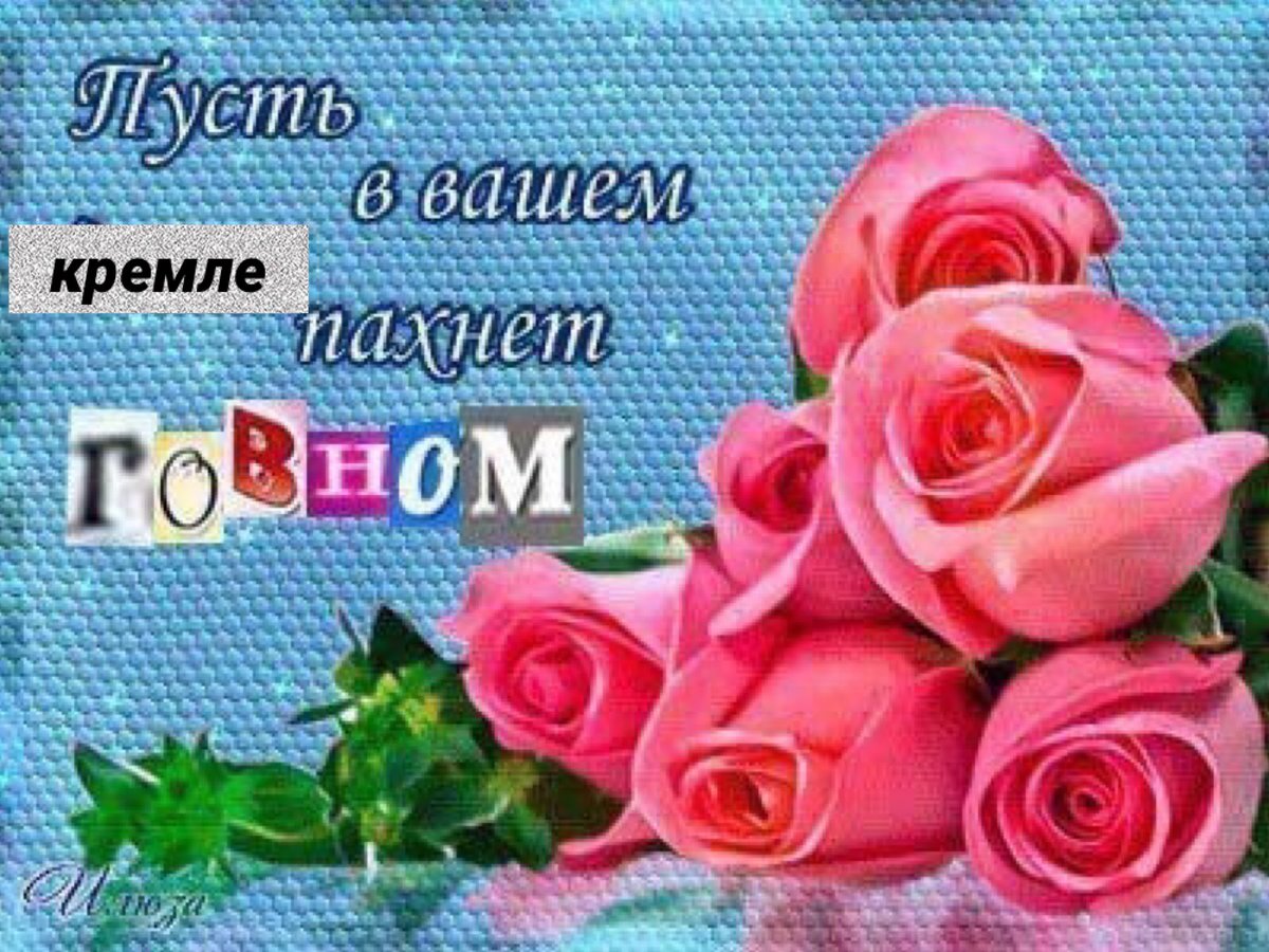 анатолий капустин (@a_kapustin) on Twitter photo 