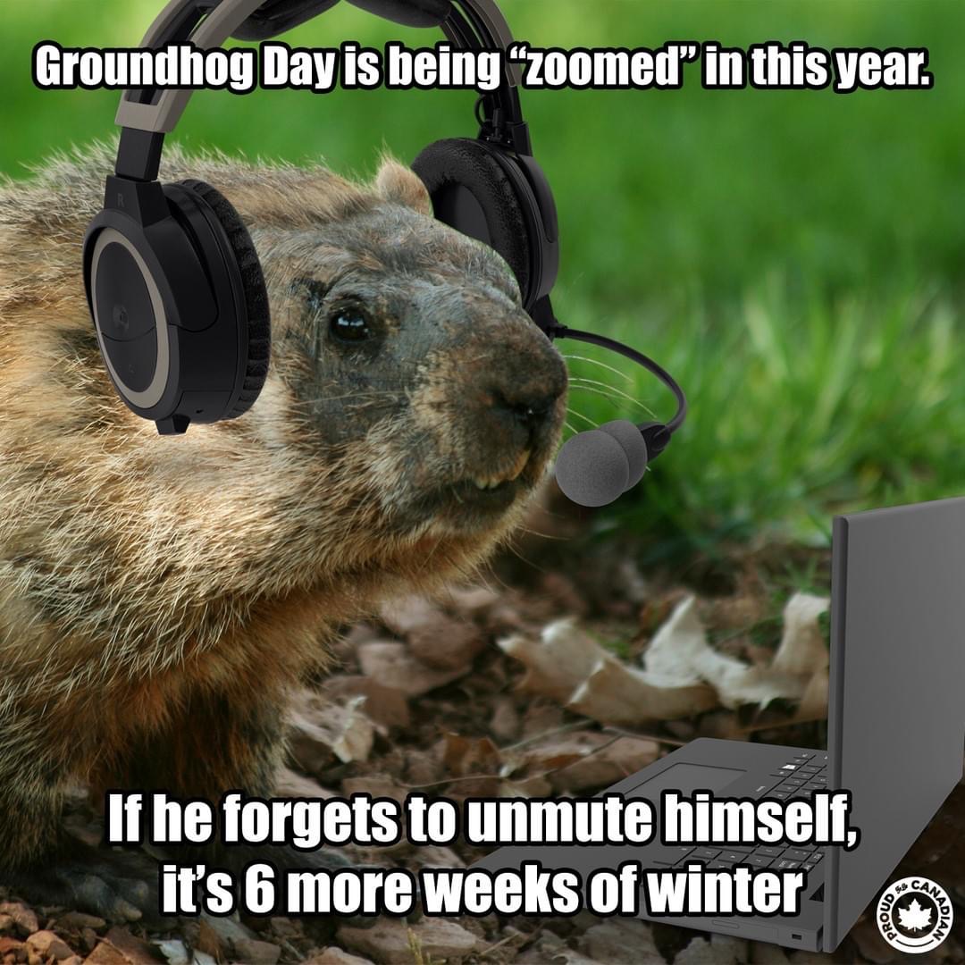 uleth Calgary Campus tweet media