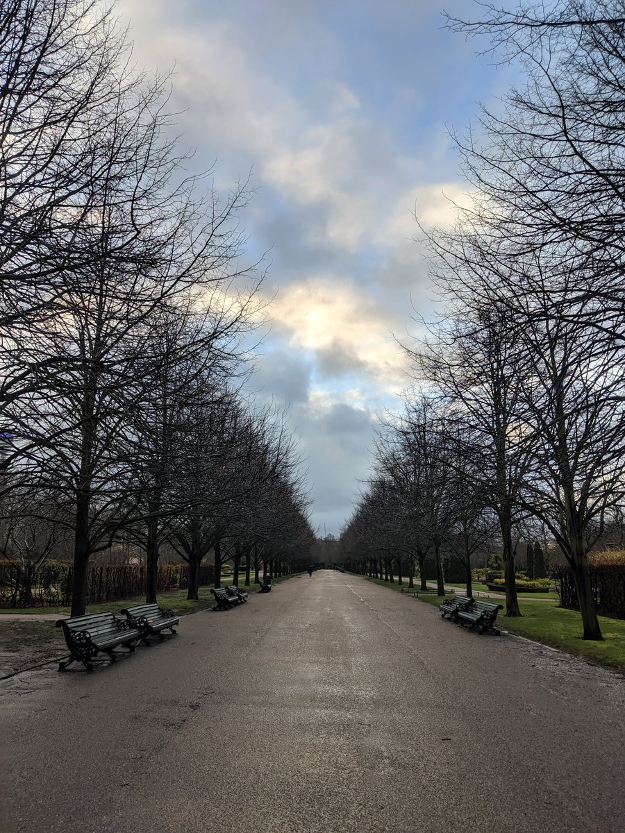 stephsolaria's tweet photo. After several months of Netflix, chill yoga and jigsaw puzzles, did my first 5km training run for my imaginary half marathon. https://t.co/XGGvfyNDpA
