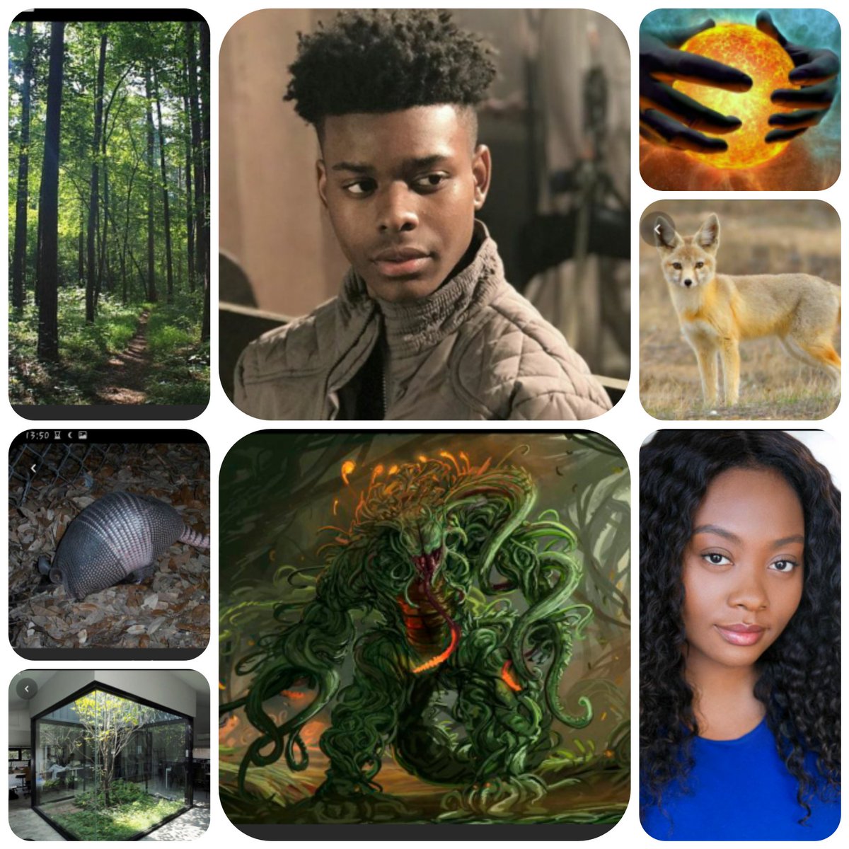 EA_Scribe's tweet photo. A #novelaesthetics for my SFFPit pitches tomorrow #blackboymagic #sentientplants #floridakid #scientistmom #themagicbutdeadlytouch https://t.co/dknTsAk7nD https://t.co/uJcImYfGcG