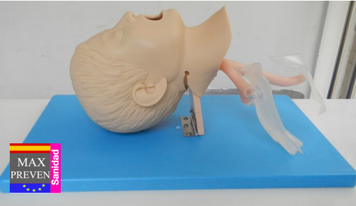 MaxprevenS's tweet photo. Modelo de Intubacion Infantil y Neonato.🧒🏼👶🏼
Todo para formación realista con seguridad.
❤️❤️ Ayudando a los que salvan vidas❤️❤️

#enfermeria #tcae #due #tes #formacionanitaria #medicina #rescate #evacuacion #emergencia #tce #prevencion #riesgos #prl #fisioterapia #SUMMA112 https://t.co/T10MRV035N