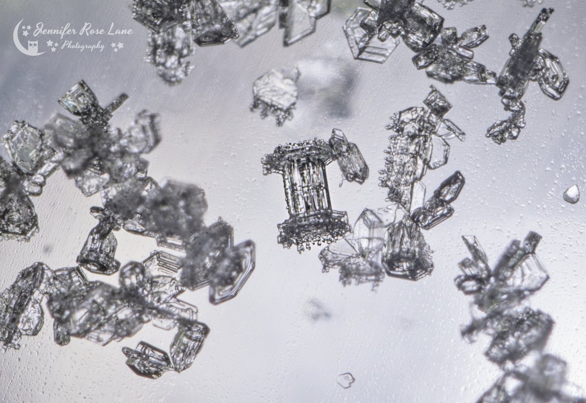 Jens_Starry_Sky's tweet photo. I saw a lot of #ColumnSnowflakes during last nights #snow βοΈπ #winter #FebruarySnow #snowflakes #macro #cold #icecrystals #ice #WV #WVweather @StormHour @MacroHour @SnowHour @ThePhotoHour https://t.co/mULlLUxzcP