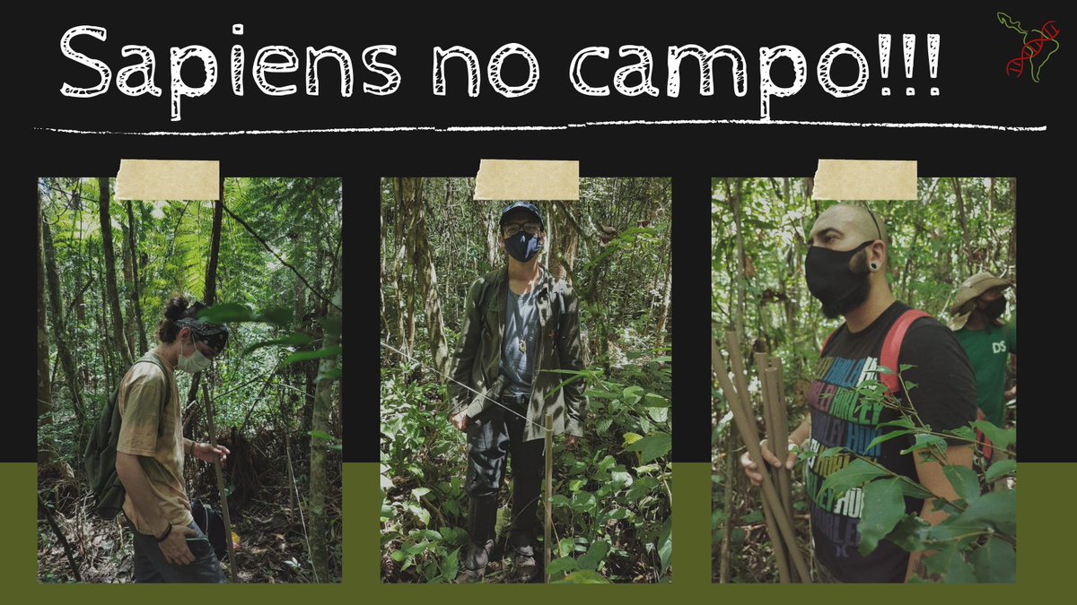 CastSapiens's tweet image. Nem só de papo vivem os Sapiens! Hoje realizamos um levantamento para o manejo da reserva, encontramos muitos animais e vários tombos!