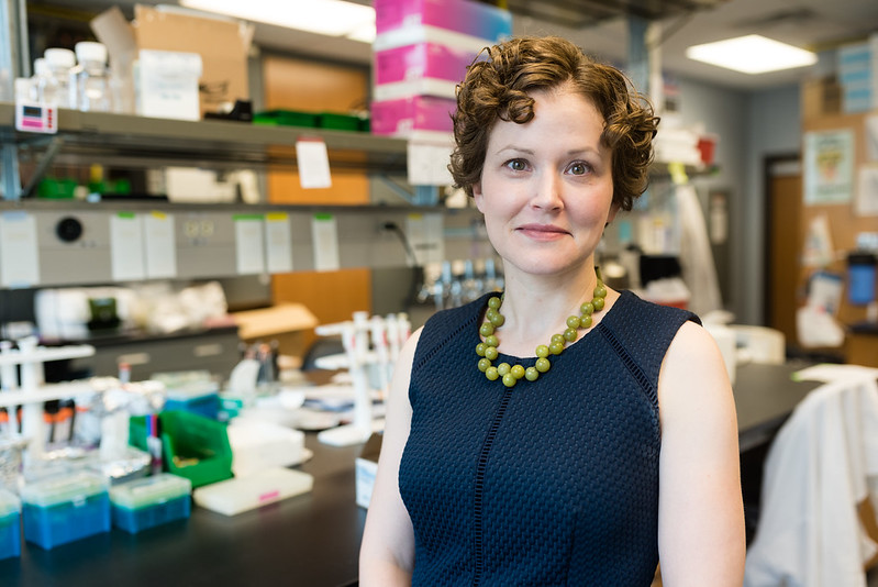 UTBiomedical's tweet photo. Congratulations to Jeanne Stachowiak on receiving an @NIH R35 Grant to Study Protein Networks as Drivers of Cellular Membrane Remodeling, research that will provide more insights into human disease. https://t.co/yW25UHtwoC https://t.co/VxTxggigY1