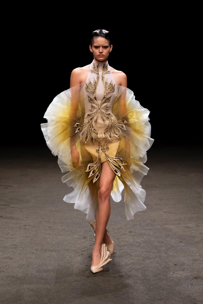 hautecheekbones's tweet photo. Iris Van Herpen S/S 21 https://t.co/5rZ2HisfnR