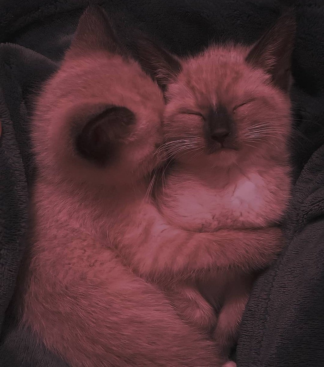 Chill & Arts (@chillingarts) on Twitter photo 